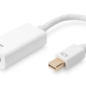 DisplayPort Adapterkabel,mini