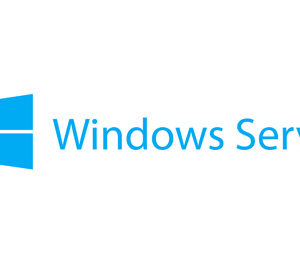 Microsoft Windows Server 2025 Standard -