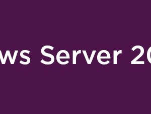Microsoft Windows Server 2025 - Lizenz -