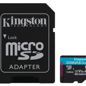 Kingston Canvas Go! Plus - Flash-Speiche