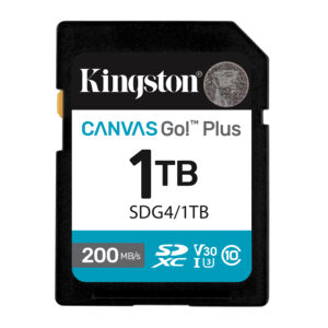 Kingston Canvas Go! Plus - Flash-Speiche