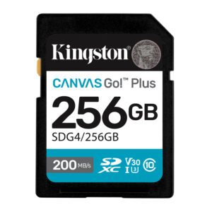 Kingston Canvas Go! Plus - Flash-Speiche