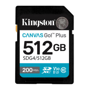 Kingston Canvas Go! Plus - Flash-Speiche