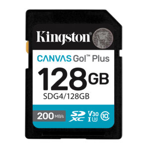 Kingston Canvas Go! Plus - Flash-Speiche