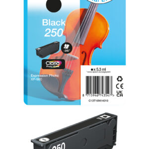 Epson 250 - 5.3 ml - Schwarz - original