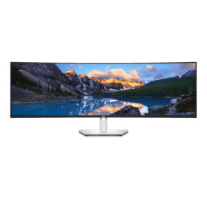 Dell UltraSharp U4924DW - LED-Monitor -