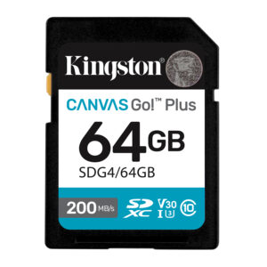 Kingston Canvas Go! Plus - Flash-Speiche
