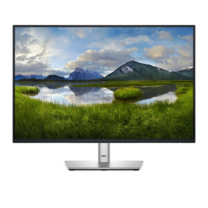 Dell P2425 - LED-Monitor - 61 cm (24") -