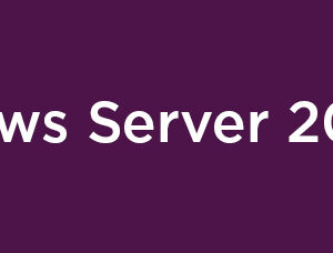 Microsoft Windows Server 2025 Remote Des