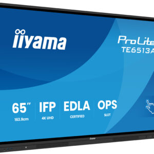 iiyama ProLite TE6513A-B2AG - 165 cm (65