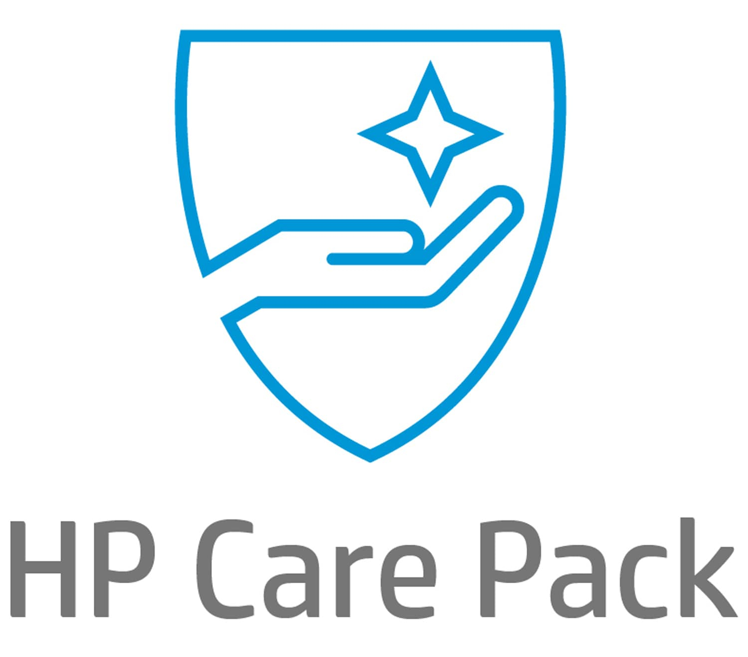 Electronic HP Care Pack Next Business Da