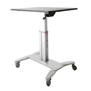 Startech Mobiler Sitz-/Steh-Arbeitsplatz