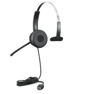 Lenovo 100 - Headset - On-Ear - kabelgeb