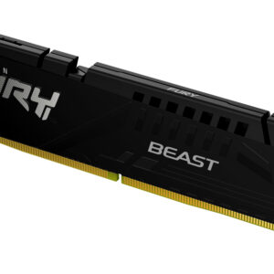 Kingston FURY Beast - DDR5 - Modul - 8 G