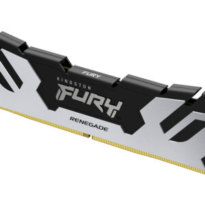 Kingston FURY Renegade Silver - DDR5 - M