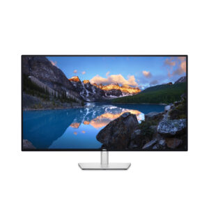 Dell UltraSharp U4323QE - LED-Monitor -