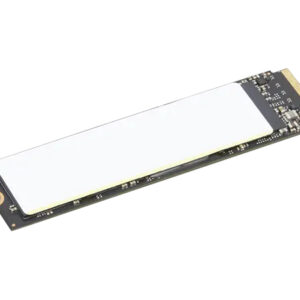 Lenovo - SSD - verschlüsselt - 2 TB - in