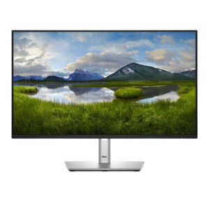 Dell P2425H - LED-Monitor - 61 cm (24")