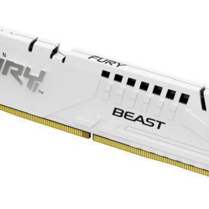Kingston FURY Beast - DDR5 - Modul - 16