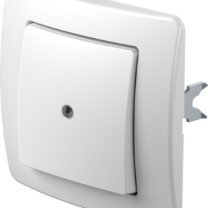 TEM Serie Ekonomik SWITCH 1WAY10AX 250V~ PW IN