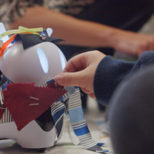 Photon Education MINT Komplettpaket "Umwelt & Nachhaltigkeit" inkl. 2 Roboter ab 3 Jahren / "Sustainable Energy"