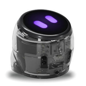 Ozobot MINT Coding Roboter "Ari Entry Kit"